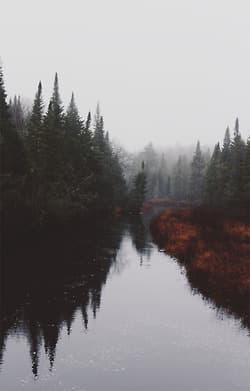 quietandcloudy