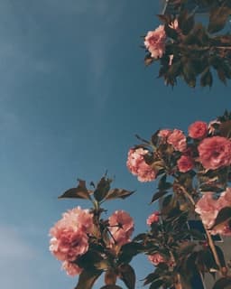 xo_ritxa_xo