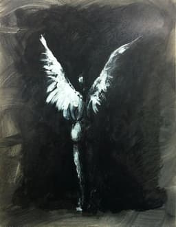 vermillionwings