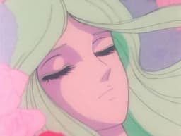 SpringPetal