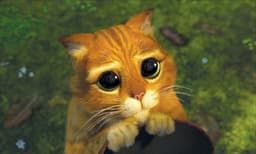 sad-pussy