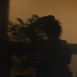anothermicrocosm