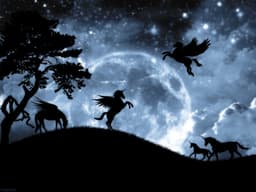 aurorahopes