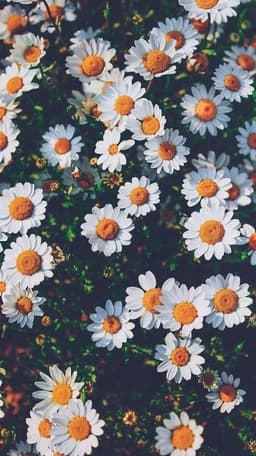 Floatingpages