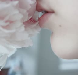 KDove