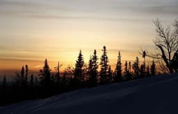 Evening