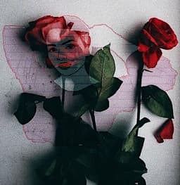 Sensitive_Soul