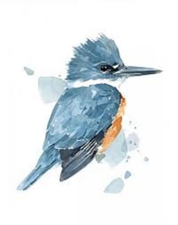 birdsandroses