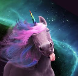 OneCorn