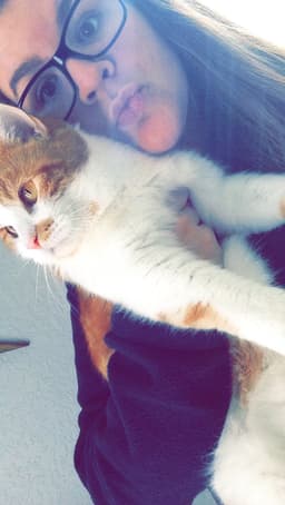 meowddy