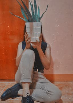 bythewindow