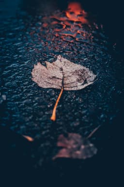Broken_Pieces
