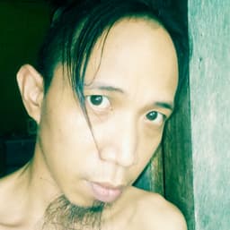 dSteine