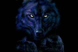 alpha-wolf