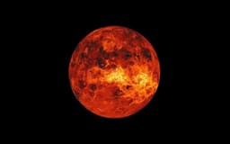 Vxnus