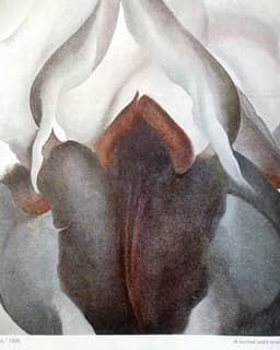 Maryelizalily