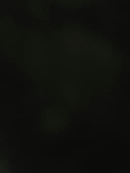 gul
