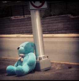 the-lonely-bear