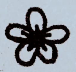 gt-lexicartis