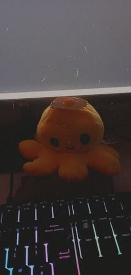 Egg