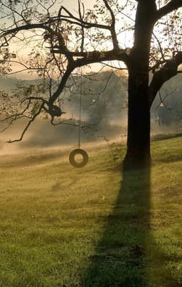 Loverofthelight