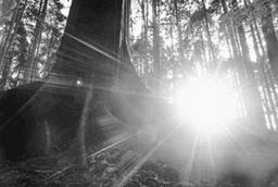 kholoud_Zkr