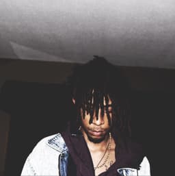 noelsauga