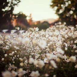 sparklesofmyworld