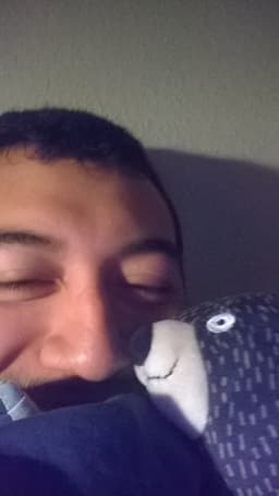 neph