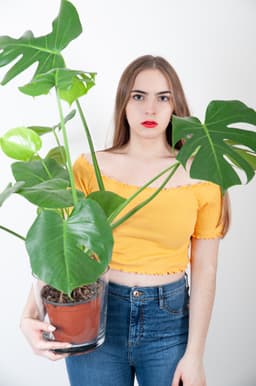 giorgia_vvt