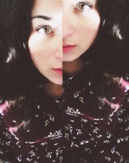 geminiiiiiidk