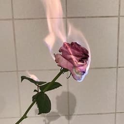deep-aesthetic