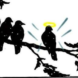 theholycrow