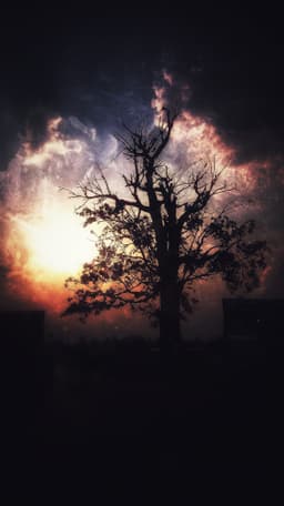 Phantom_poet