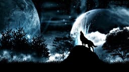Umbra