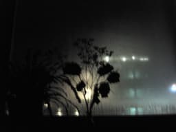 nightvision