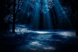Mlightfier2709