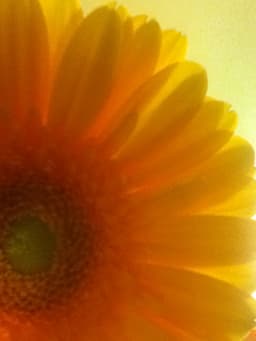 rebecca-lynn-plumb