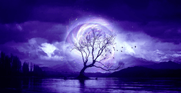 violetstarlights