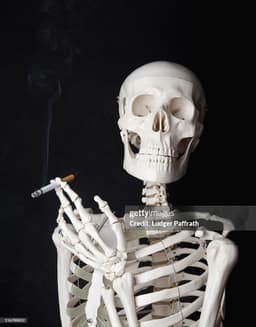 TheCynicalHallowsICallThoughts