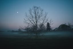 ghostly