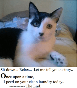 ernie-rodrigues