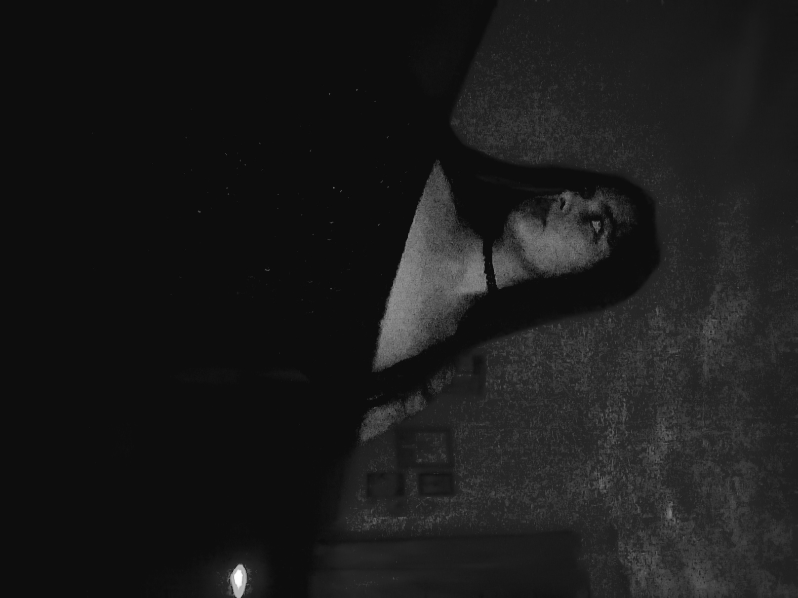 lotusvelvet