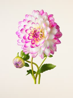 heather-17