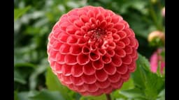 soulmusings