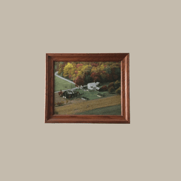elliottswindow