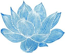 janeloop
