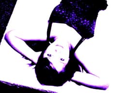 TheFlightlessBird