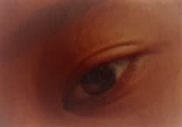 Liy