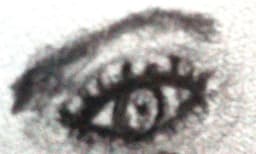 coliazar_28
